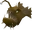 Anglerfish