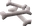 Dragon bones