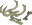 Drake bones
