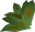 Grimy irit leaf