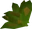 Grimy ranarr weed
