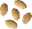 Palm tree seed