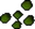 Ranarr seed