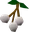 White berries