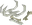 Wyrm bones